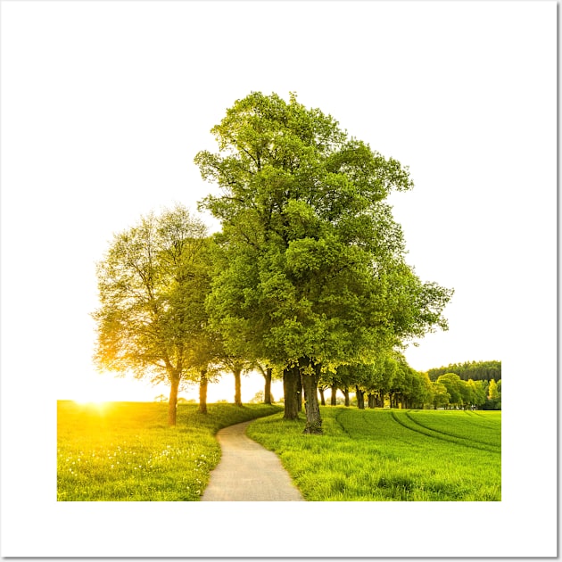 SCENERY 79 - Greens Tree Leaf Nature Wood Grassland Wall Art by artvoria